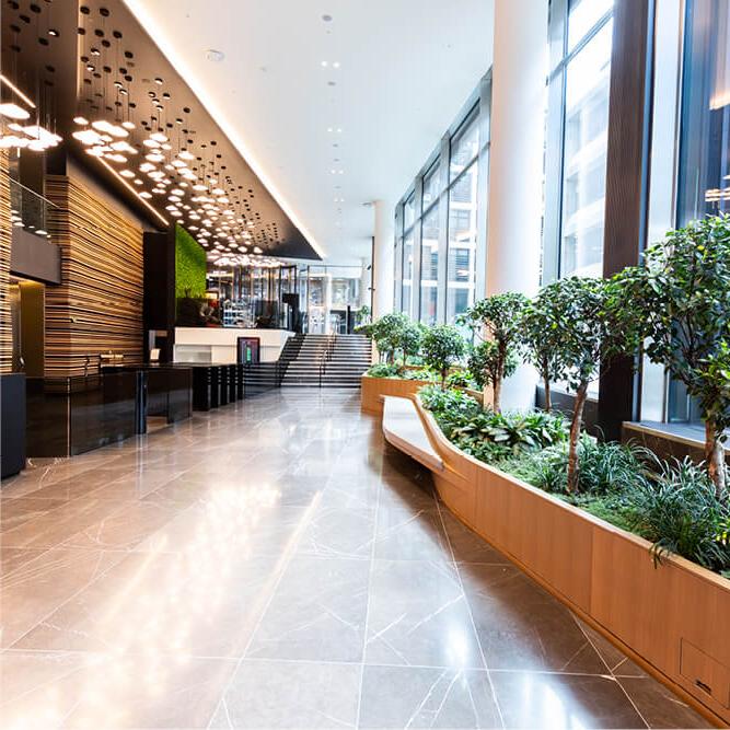 Empty modern office space, filled with light and green plants